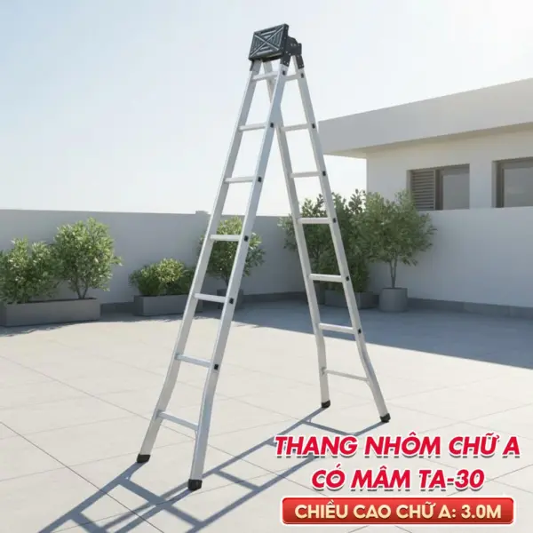 Thang nhôm chữ A phổ thông TA30 (3m)
