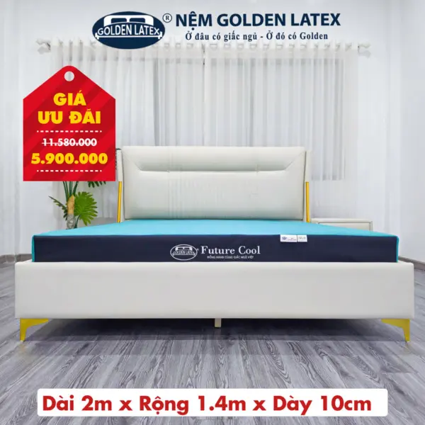 [Rộng 1.4m] Nệm Future Cool Memory Foam