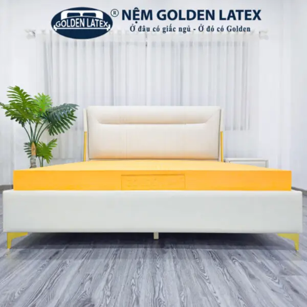 [Rộng 1.4m] Nệm Cao Su Thiên Nhiên Diamond Golden Latex