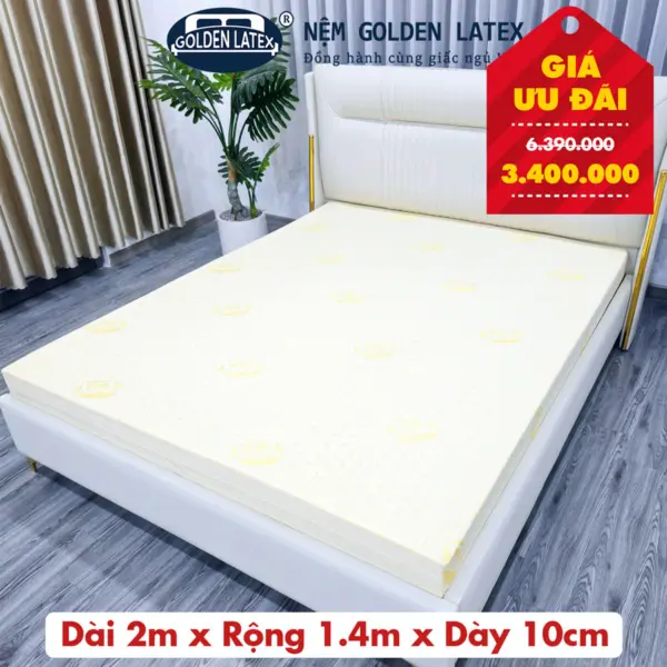 [Rộng 1.4m] Nệm Latex Gold Goden Latex