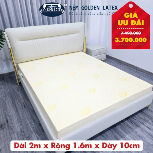 [Rộng 1.6m] Nệm Latex Gold Goden Latex